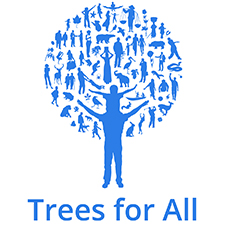 trees for all teambuilding Belfast